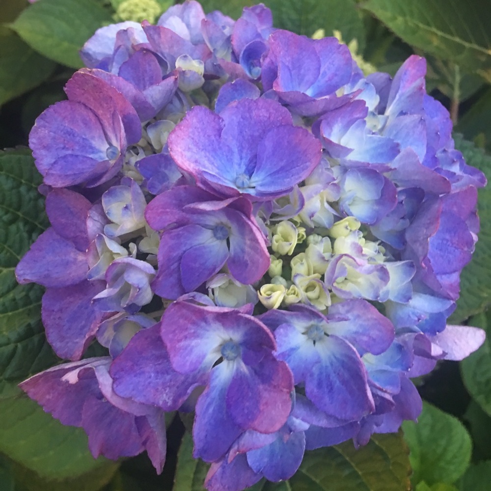 Meet your Posher, Kerri